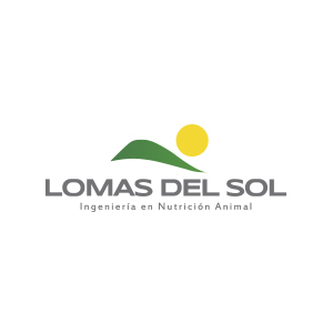 Lomas del sol, Cliente de Positive Media